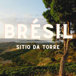 Brésil | Sitio Da Torre | J'aime Thé Café