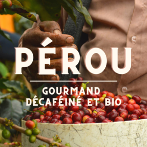 Pérou | Gourmand Décaféiné et Bio | J'aime Thé Café