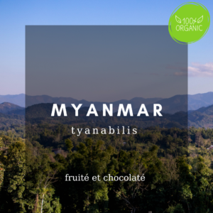 Myanmar tyanabilis