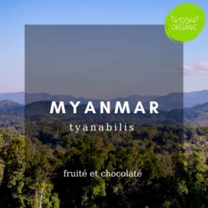 « Microlot-BIO » Café du Myanmar | Tyanabilis