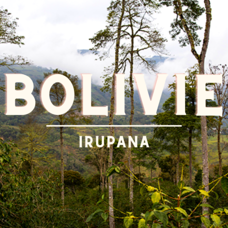 Bolivie Irupana