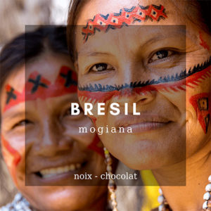 Café du Brésil | Mogiana