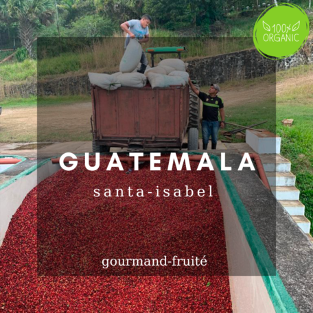 Guatemala-santa-isabel-bio