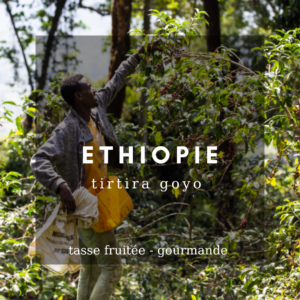Ethiopie-tirtira-goyo
